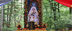 The Wood of Our Lady